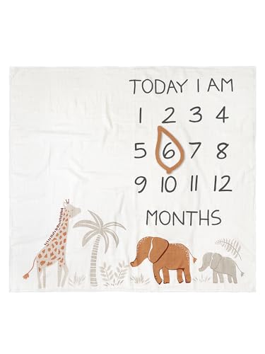 Modern Moments by Gerber Muslin Milestone Blanket with Felt Frame 1