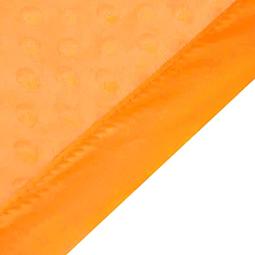 BEILIMU Fox Lovie Security Blanket for Babies