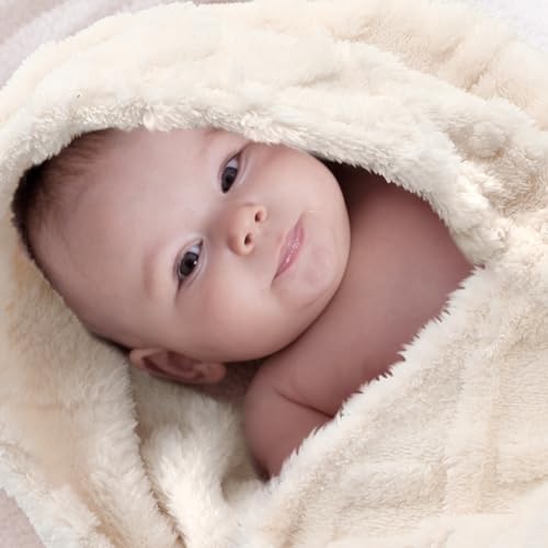 VitalCozy 4 Pcs 30x40 Baby Blanket Set with 3D Fluffy Texture