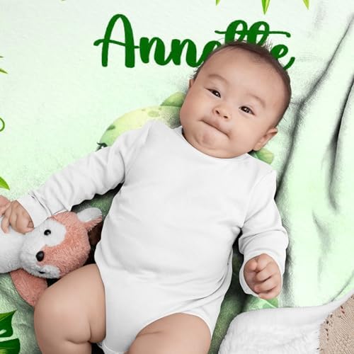 Aniruddha Custom Dinosaur Baby Name Blanket