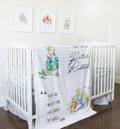 Peter Rabbit Baby Blanket - Soft White Minky 40x32