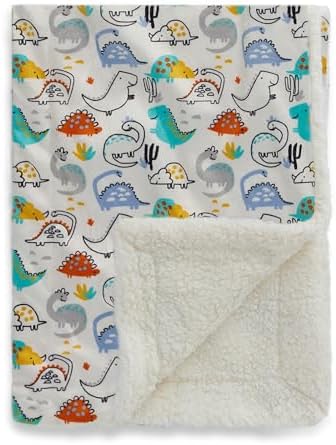 30x40in Baby Blanket with Dinosaur Design