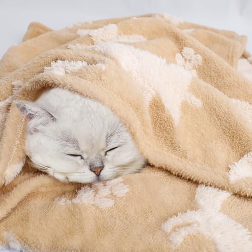 BORITAR 3D Fleece Baby Blanket with Woodland Fox Design 1