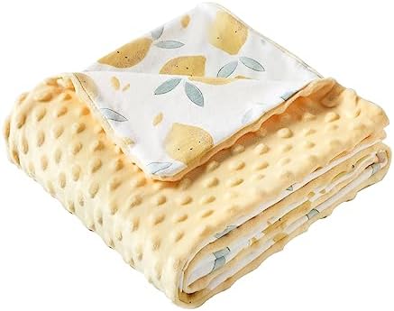 iEvolve Fruit Paradise Bed Blanket 30x40in Ultra Soft Double Layer
