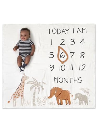 Modern Moments by Gerber Muslin Milestone Blanket with Felt Frame 1