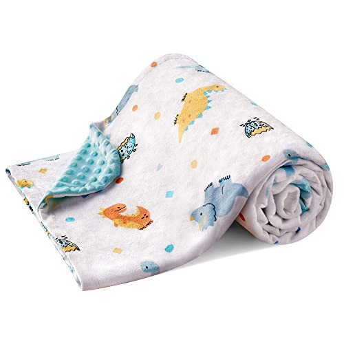 DaysU Silky Micro Minky Plush Baby Blanket with Dinosaur Print