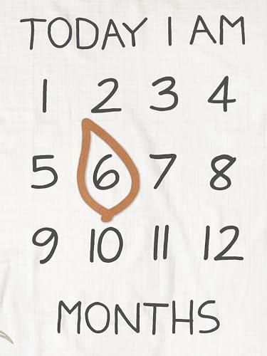 Modern Moments by Gerber Muslin Milestone Blanket with Felt Frame 1
