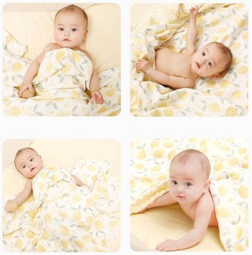 iEvolve Fruit Paradise Bed Blanket 30x40in Ultra Soft Double Layer