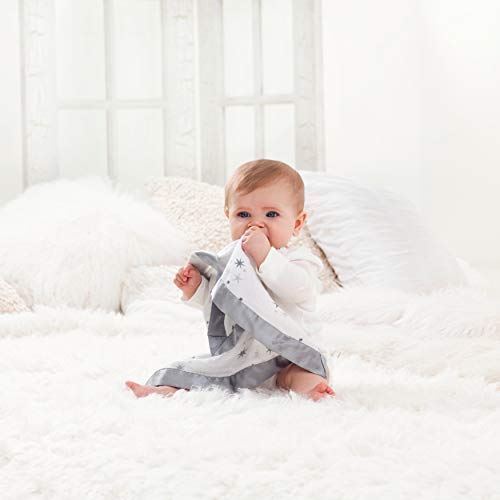 aden anais Essentials Issie Security Blanket 2 Pack