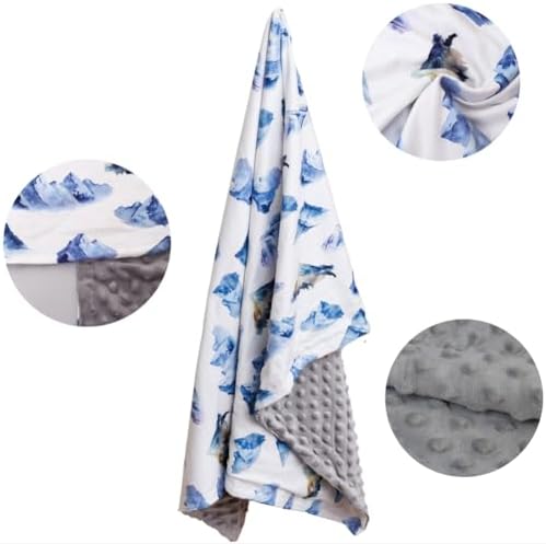 FIGEPO Baby Boy Blanket Double Layer Fuzzy