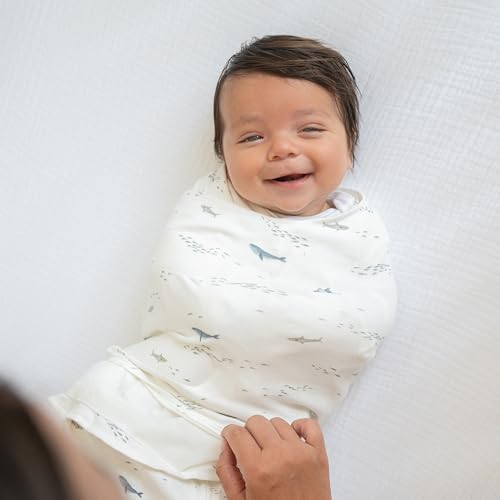 HALO 100 Cotton Sleepsack Swaddle for 3-6 Months 1