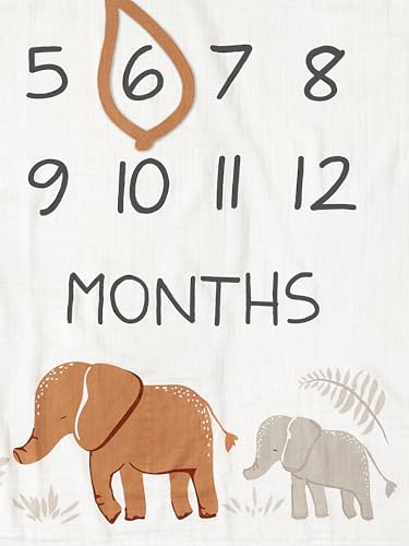 Modern Moments by Gerber Muslin Milestone Blanket with Felt Frame 1