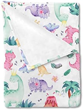 HawSkgFub Dinosaur Bed Blanket for Girls