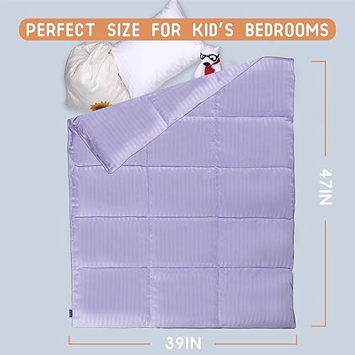 ZPECC Toddler Comforter Purple Stripe 39x47