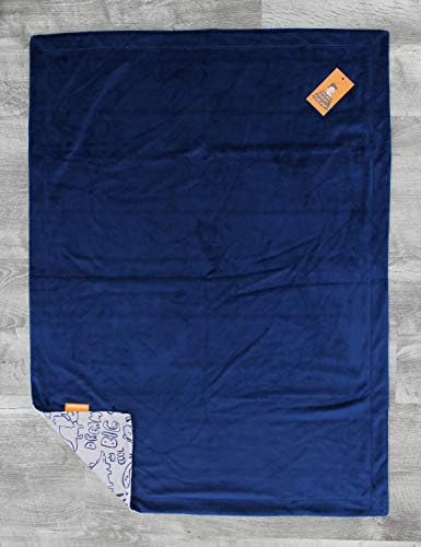 Dear Baby Gear Deluxe Baby Blanket - Reversible Soft 40x30 Inches