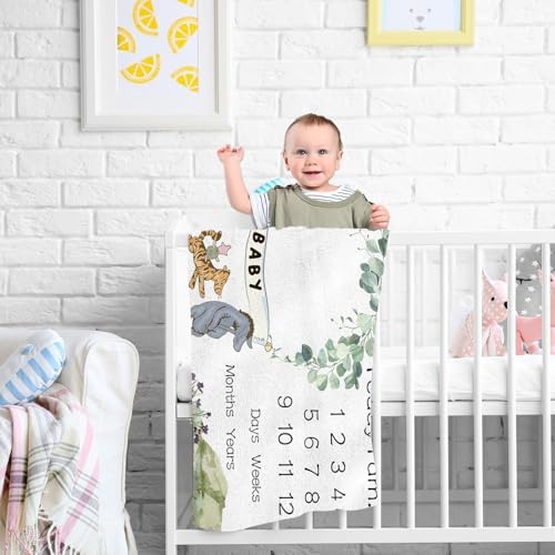 Winnie Baby Milestone Blanket with Felt Frames