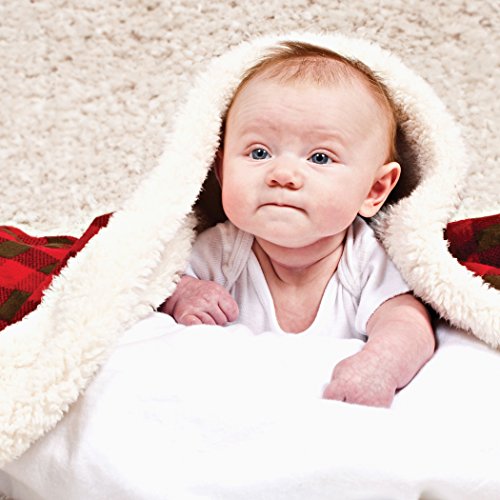Trend Lab Gray Brown Buffalo Check Flannel Baby Blanket 1