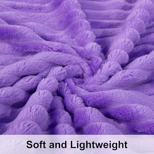 NTBAY Plush Flannel Baby Blanket 50X60 Inches Purple Striped