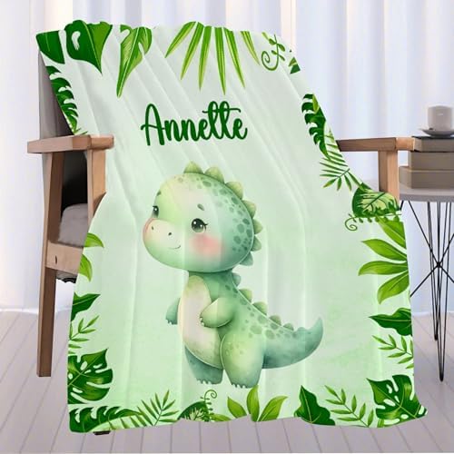 Aniruddha Custom Dinosaur Baby Name Blanket