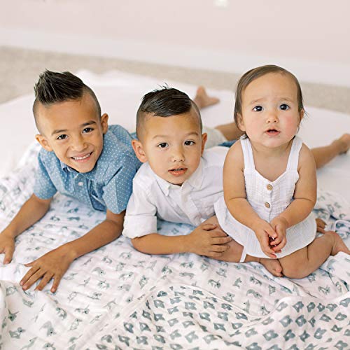 aden anais 4-Layer Cotton Muslin Baby Blanket with Koala Medallion