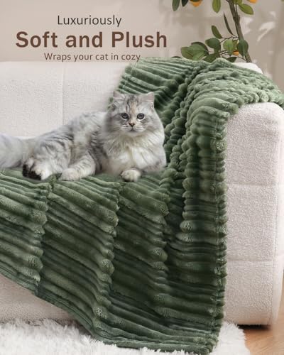 HOMRITAR Fleece Blanket - Reversible Stripes 30x40 Inches