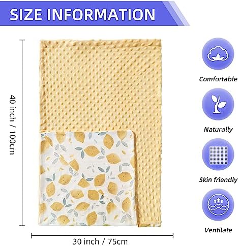 iEvolve Fruit Paradise Bed Blanket 30x40in Ultra Soft Double Layer
