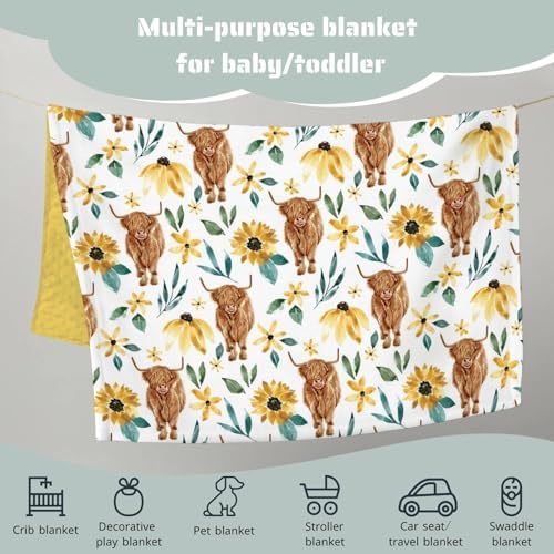 HawSkgFub Mink Baby Blanket Dotted Backing Girls Shower Gift