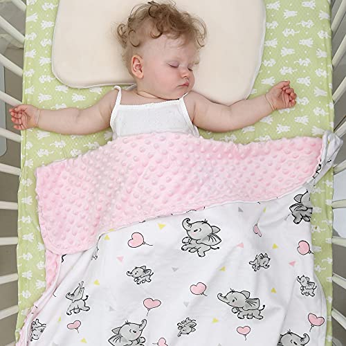 DaysU Silky Micro Minky Plush Baby Blanket with Dinosaur Print