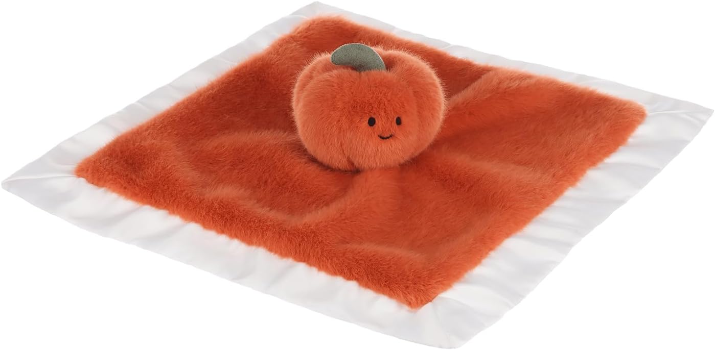 Apricot Lamb Pumpkin Blanket for Babies Soft Lovey 138x138 Inches 1
