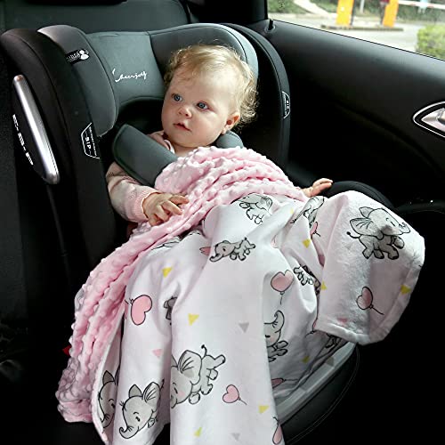 DaysU Silky Micro Minky Plush Baby Blanket with Dinosaur Print