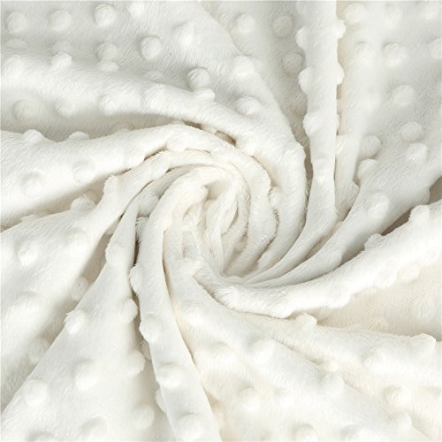 HOMRITAR Baby Blanket Double Layer Minky 30x40 Inch