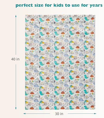 30x40in Baby Blanket with Dinosaur Design