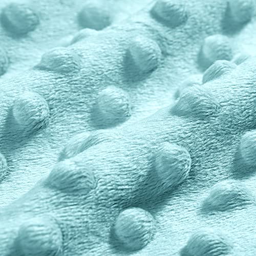 DaysU Silky Micro Minky Plush Baby Blanket with Dinosaur Print