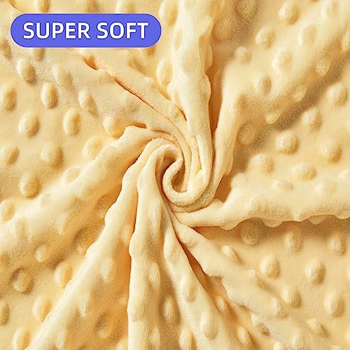 iEvolve Fruit Paradise Bed Blanket 30x40in Ultra Soft Double Layer