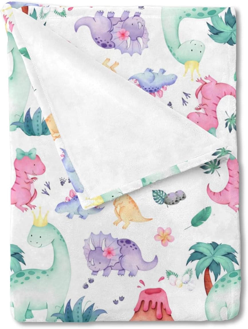 HawSkgFub Dinosaur Bed Blanket for Girls