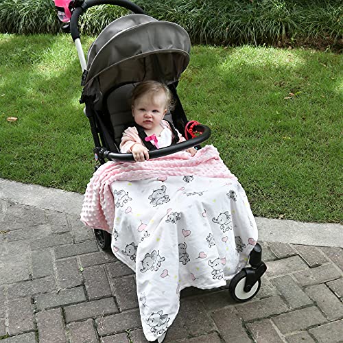 DaysU Silky Micro Minky Plush Baby Blanket with Dinosaur Print