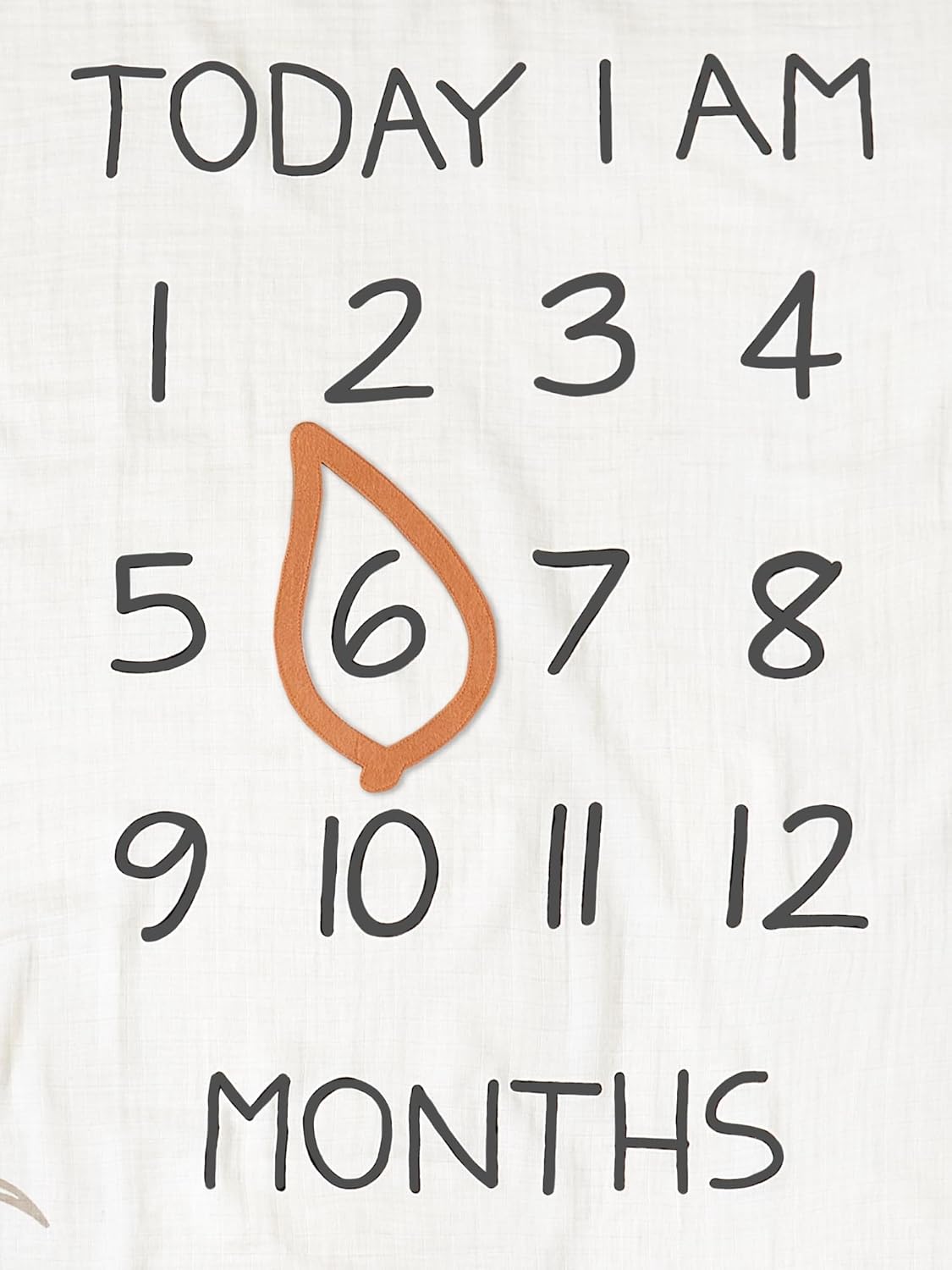 Modern Moments by Gerber Muslin Milestone Blanket with Felt Frame 1