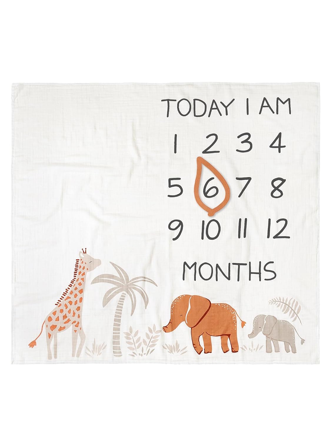 Modern Moments by Gerber Muslin Milestone Blanket with Felt Frame 1