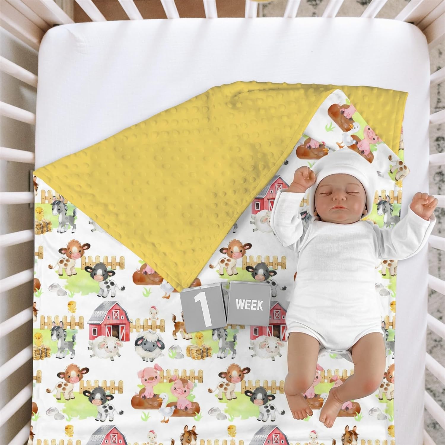 HawSkgFub Farm Animals Bed Blanket 30x40 Reversible Dotted Plush