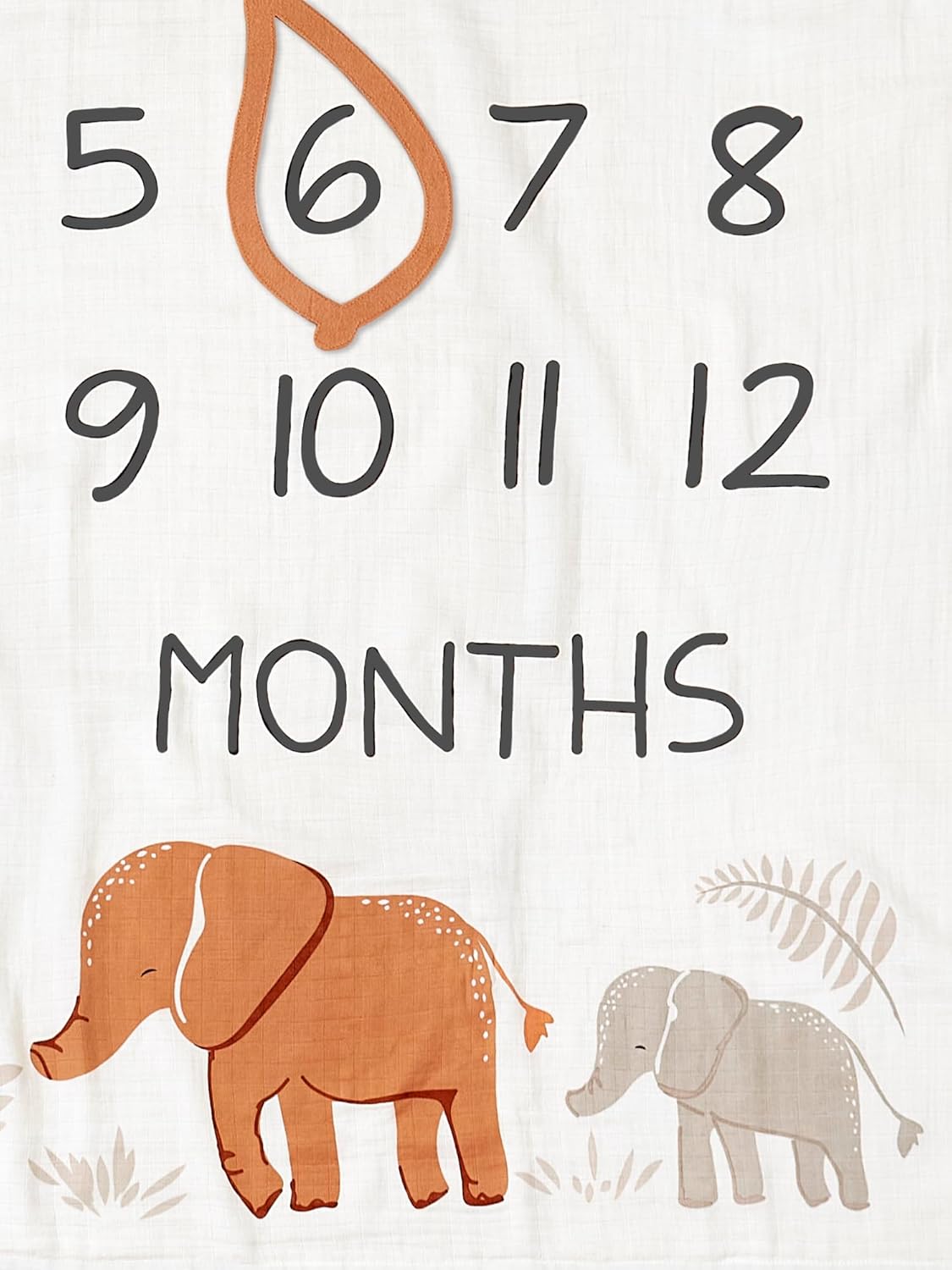 Modern Moments by Gerber Muslin Milestone Blanket with Felt Frame 1