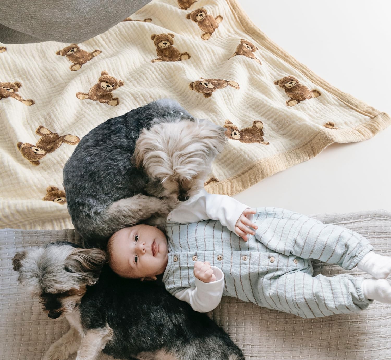 Little Jump 2-Layer Muslin Baby Blanket - Teddy Bear Design 47x47 Inches