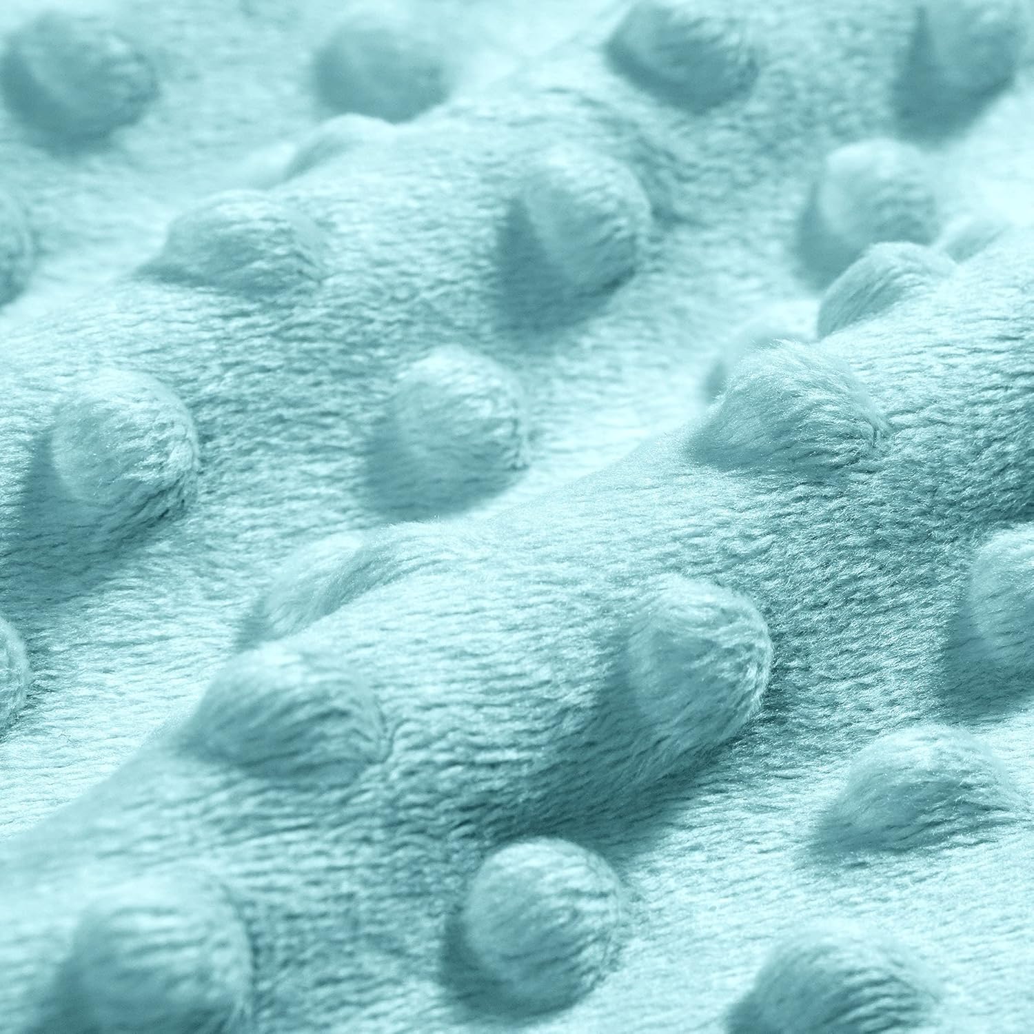 DaysU Silky Micro Minky Plush Baby Blanket with Dinosaur Print